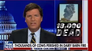 In Alarming Moment, Dairy Farm Explodes, Killing 18,000 Cows