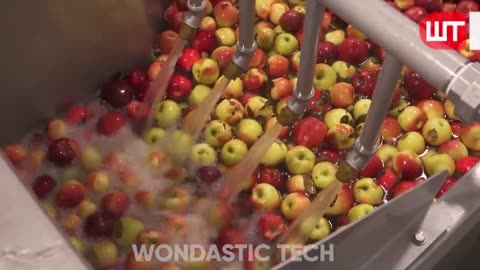 How Apple juice Is made in Factory | Wondastic Tech