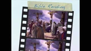 August 13th Bible Readings
