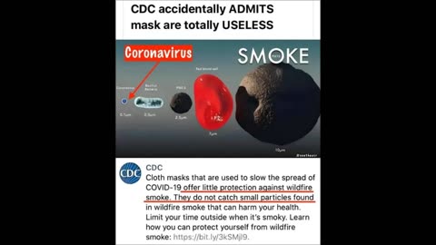 CDC - Masks are useless