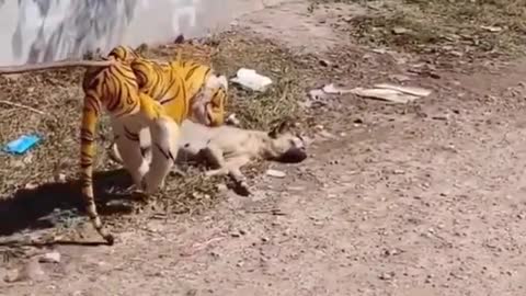 Prank Dog vs Fake Tiger #Shorts #Tiger Funny Animals