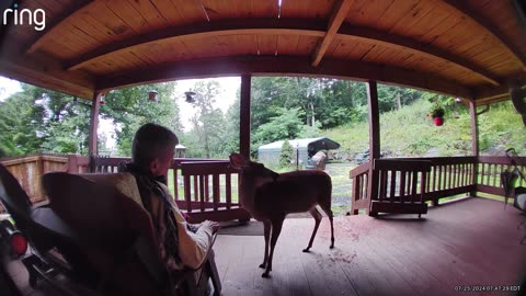 Deer 🦌 NW NC at The Treehouse 🌳 Lady prefers the porch when there’s persistent rain