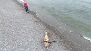 Drone capta increíbles imágenes aéreas de la costa de Toronto