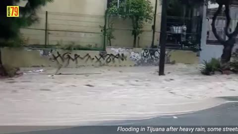 Tijuana Flood footage: Road turns into river after heavy rain!