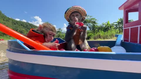 Monkey Baby Bim Bim and Obi go fishing on the boat and meet SHARK-19