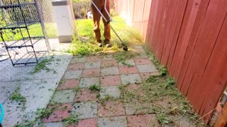 New Homeowner Of My Childhood Home Gets A FREE Lawn Cleanup