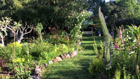 Happy May Day! Early Morning Slow Garden pan & Garden sounds