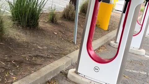 Tesla machines in the USA had their cables stolen