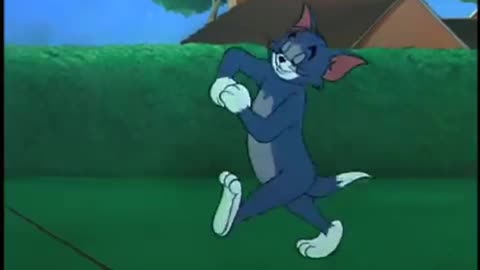 Tom and Jerry - || Fit to be tied