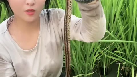 How Chinese girls catch fish and snakes || কিভাবে চায়না মেয়েরা মাছ এবং সাপ ধরে