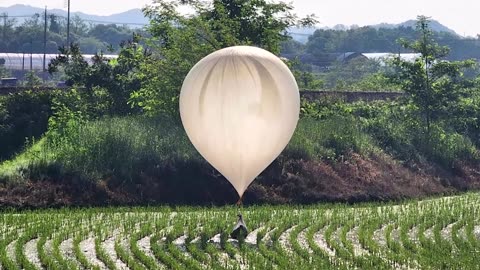 North Korea sends excrement balloons over South REUTERS