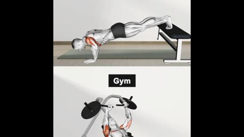 Gym workout tips