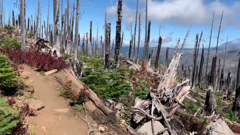 Central Oregon - Mount Jefferson Wilderness - Picturesque Views of Mount Washington