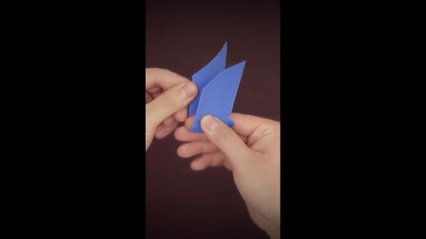 Making Origami Flapping Bat Paper Craft