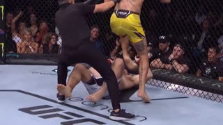 Why The UFC Is The Best Sport