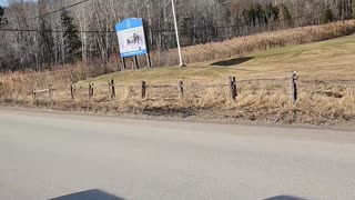 03-08-24 | Traveling Calabogie Back Roads | Part 9 | #shorts