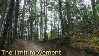 The limit movement