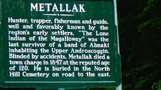 Metallak