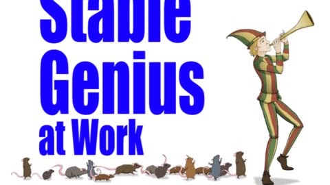 Stable Genius at Work