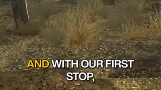Fallout New Vegas How Many Graves Are There?