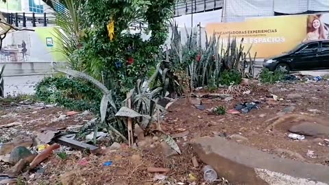 Reportan deterioro, basura y hasta ratas en la glorieta de Cañaveral, en Floridablanca