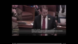 Sen. Brakey Tells Senate to Change License Plate to "Taxationland" (2023)