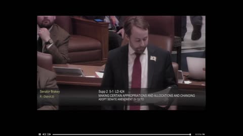 Sen. Brakey Tells Senate to Change License Plate to "Taxationland" (2023)