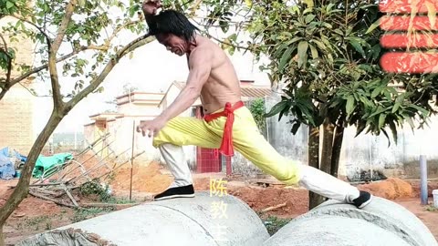 kung fu fitness