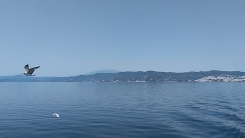 🌞⛴️ Ferry trip, calm sea, sunny day 🌞⛴️