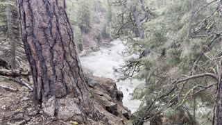 Hiking in the Benham Falls Area – Deschutes River – Central Oregon – 4K