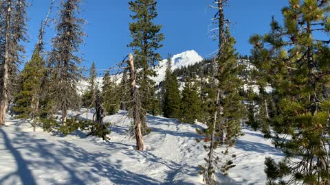 Forest Exploration – White River West Sno Park – Mount Hood – Oregon – 4K