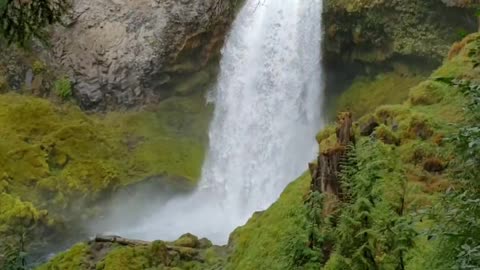 Mckenzie falls oregon