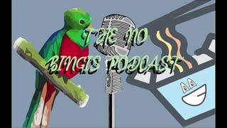 No Bingis Podcast •Episode 1 • "Beginning" (Feat. Cazaryz & Azarych)