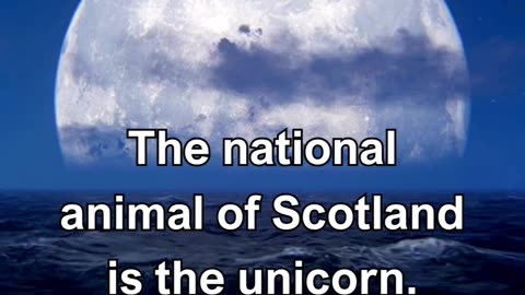 The national animal of Scotland is the unicorn.