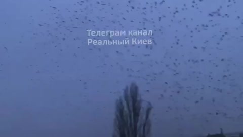 Thousands of Crows in the Skies Above Kyiv, Ukraine | Harbingers of Death (1/23/2023)