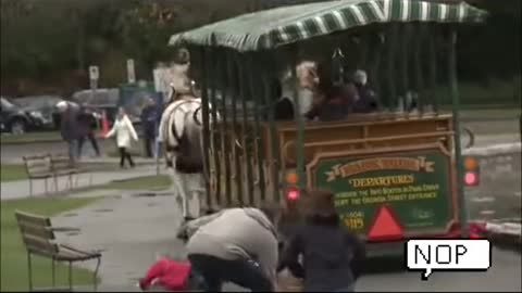 Horses Went “Wild”During Their Ride to Tourists