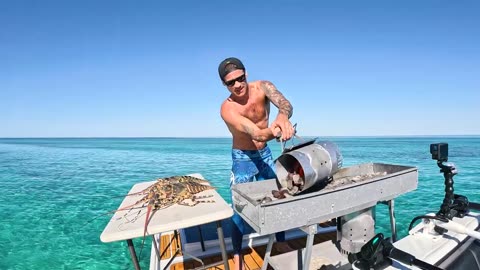 Catching Giant Lobsters For Food On Remote Island