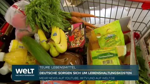 NAHRUNGSMITTELKRISE IN DEUTSCHLAND Heimer - Politik muss Konsum an Nutztieren reduzieren