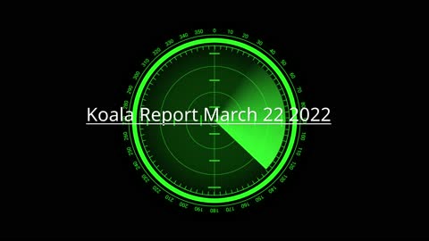 Koala Report March 22-2022