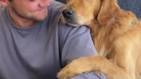 Golden retriever is loved by everyone on morning train