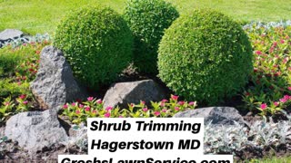 Shrub Trimming Hagerstown MD Landscaping Contractor