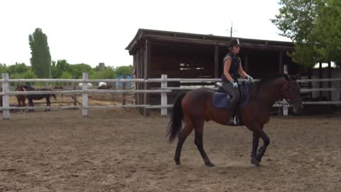 Riding horse. Girl on beautiful horse riding on manege