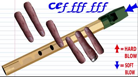 How to Play Baby Shark on the Tin Whistle