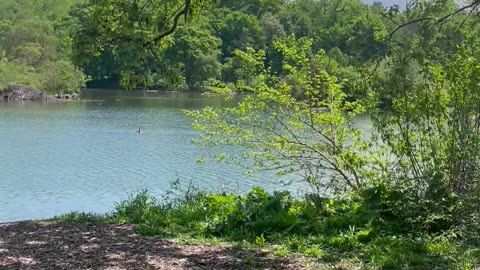 Beautiful Park Near #niagara #falls #downtown #park #walkingdaysincanada