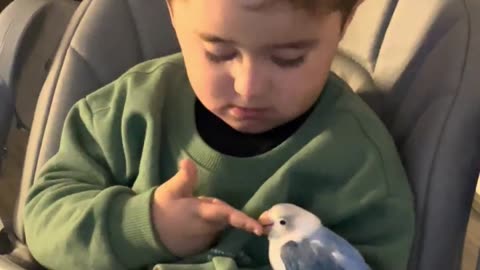 A lovebird and His Best Friend