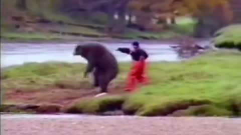 USA bears vs Russian bears 🐻
