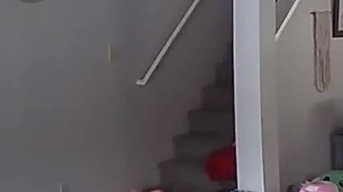 Toddler Loses Balance and Falls Down Stairs