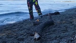 Shaking it off at the beach to Taylor Swift Song