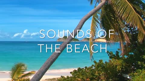 Sounds Of The Beach | 15 Minute | Relaxing Beach Sounds with Seagulls & Ocean Waves