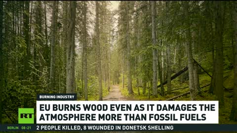 L'UE brucia la legna,nonostante la sua agenda verde, mentre alcuni Paesi nordici e dell'Europa centrale, colpiti dalla crisi energetica, si oppongono alla proposta-tutto questo mentre alcuni Paesi dell'UE bruciano pellet di legno da decenni